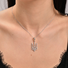 Срібна підвіска герб в фіанітах