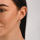 Срібні сережки з золотими вставками