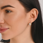 Серебряный набор с золотыми пластинами