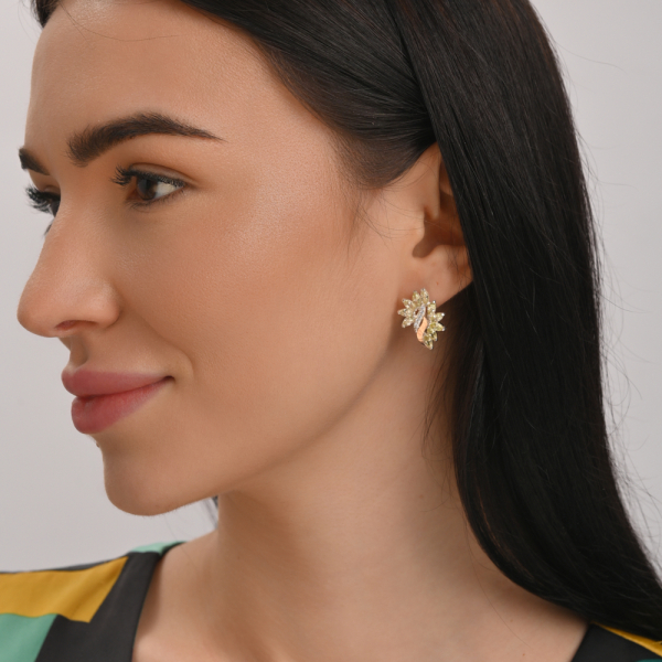 Серебряные серьги с золотыми вставками