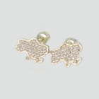 Срібні пусети мапа України