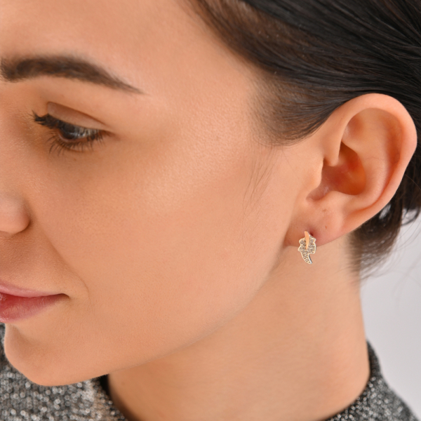 Сережки гвоздики