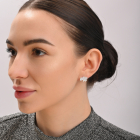 Срібні пусети мапа України