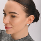 Срібні пусети мапа України