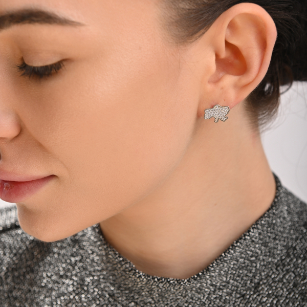 Срібні пусети мапа України