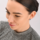 Срібні гвоздики 