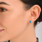 Срібні гвоздики 