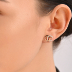 Сережки гвоздики